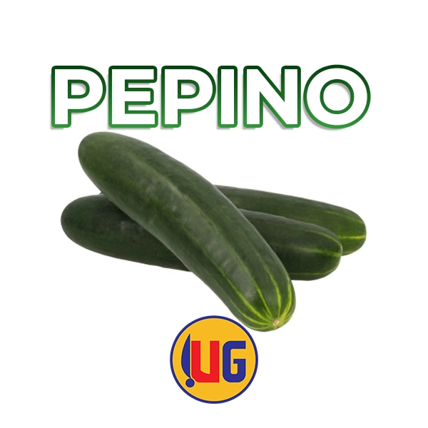 PEPINO generico ug